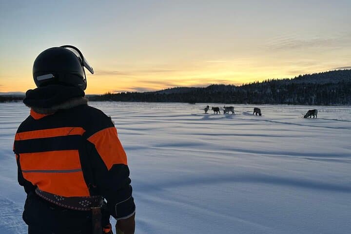 From Saariselkä: Ice Fishing Tour to Lake Inari, reindeers &lunch 4