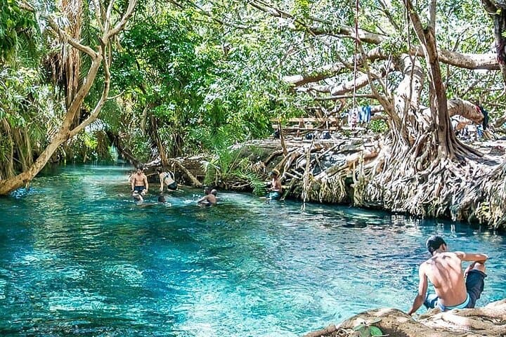 Josani Forest Trip & Dolphin Watching with Transfers – Zanzibar 4