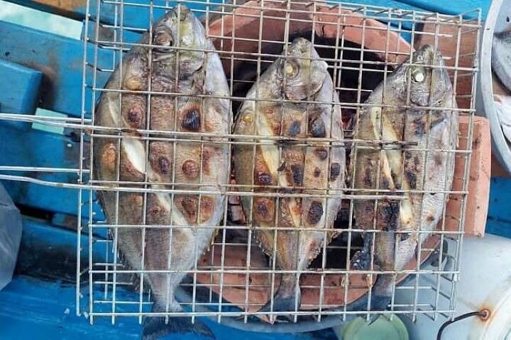 Fishing & Island Lunch Cruise from Koh Samui – Catch & Relax