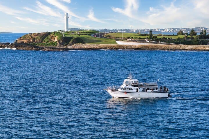 Half-Day Deep Sea Fishing in Wollongong - Weekdays only 2