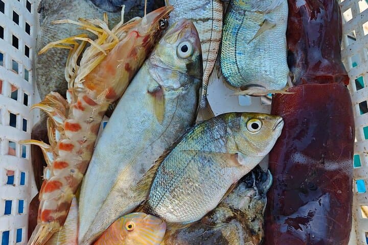 Cefalu: Boat Trip with Fishing, Coastal Tour and Lunch on Board 4