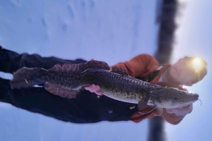 Fairbanks Ice Fishing with Transportation 4