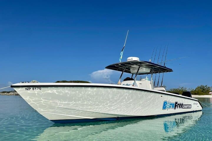 Private Speed Boat for Snorkeling or Fishing in Nassau - 34ft