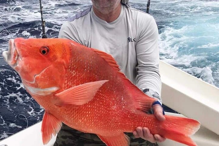 Half Day Fishing Trip from Praslin Island  2
