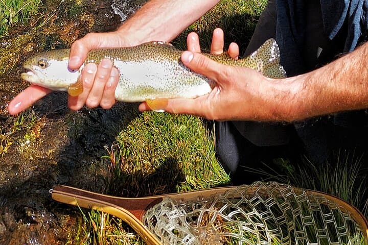 Guided Fly Fishing Tour in Estancia La Carrera 3