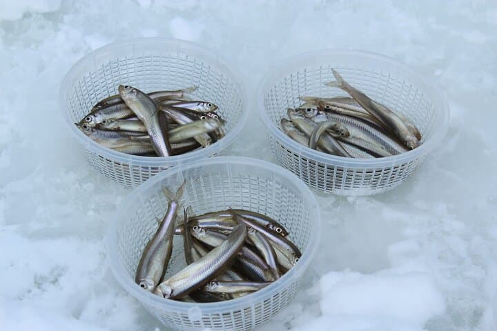 Ice Fishing Experience Eat Fresh fish Tempura at Lake Abashiri 4