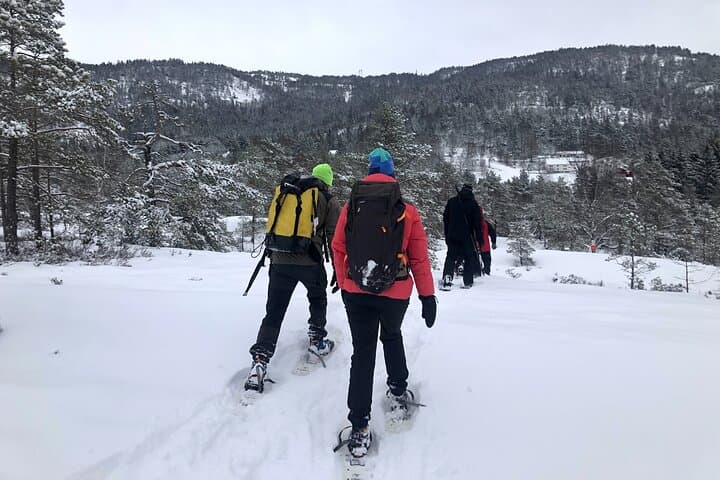 The Southern Norwegian Winter Wonderland Experience 3