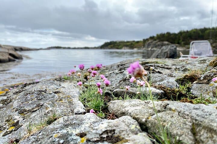 The Southern Norwegian Archipelago Experience 2