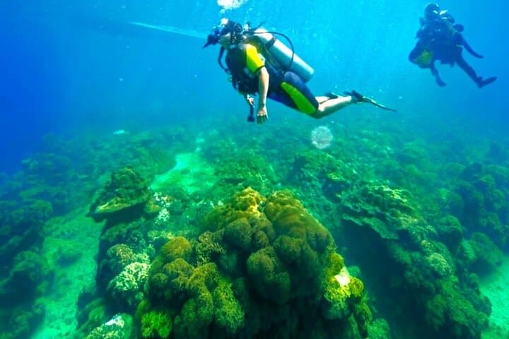 Phuket Scuba Diving: Racha Island Or Maiton Island For All Levels 3