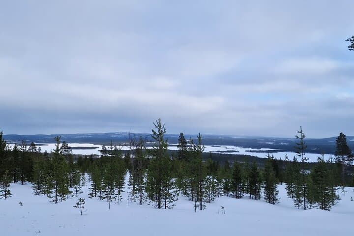 Ivalo: A Day in the Backcountry 4