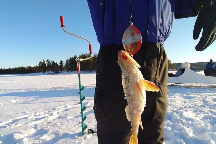 Ivalo: A Day in the Backcountry 5