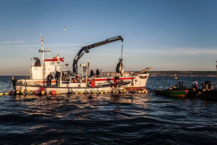 Barbate Almadraba Bluefin Tuna Experience