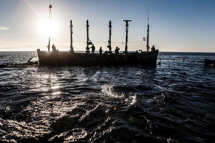 Barbate Almadraba Bluefin Tuna Experience 2