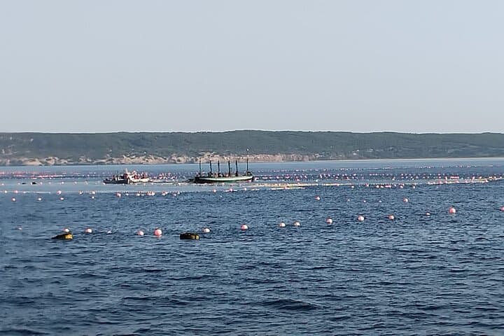 Barbate Almadraba Bluefin Tuna Experience 3