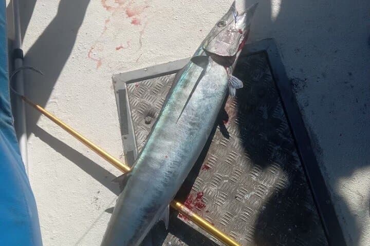 The best fishing in Waikiki 3 hr. trip 5