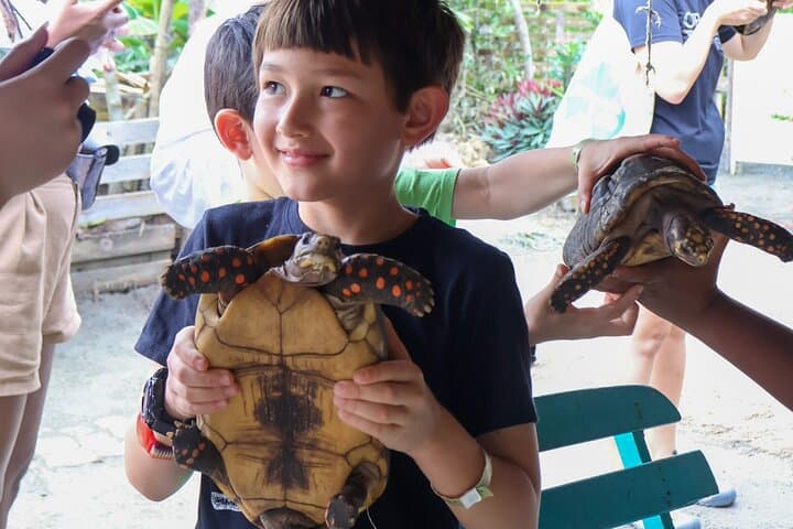 Artisanal Fishing of Crabs and Fish in Mangroves with Natives 5
