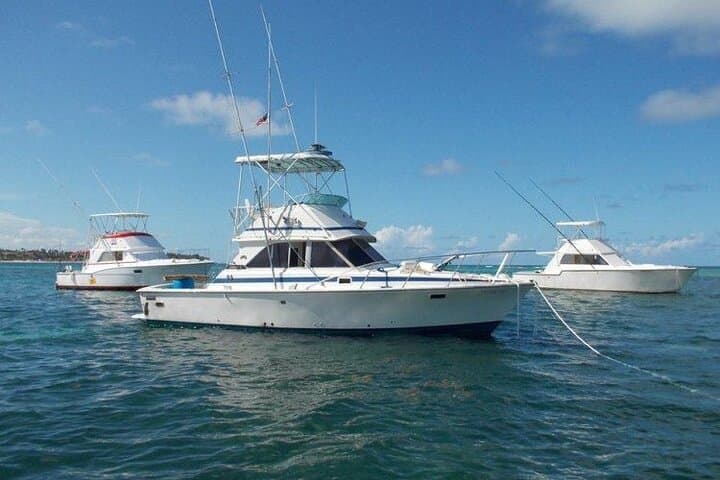 Offshore Fishing - Half Day (Trolling) 2