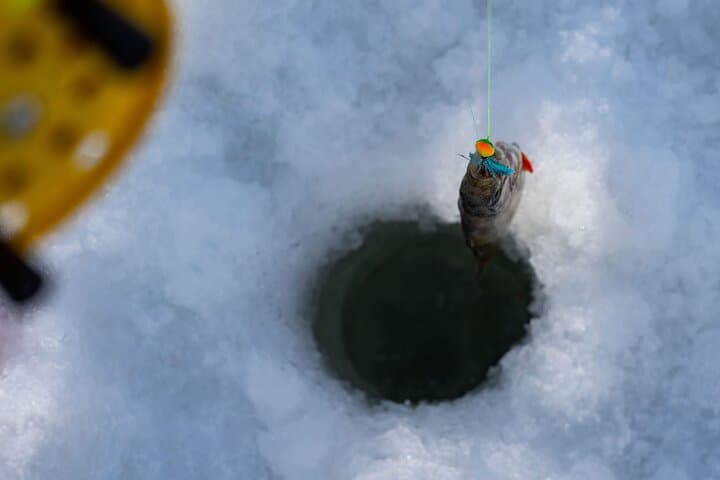Ice Fishing in a small group with snowshoeing and salmon soup 2