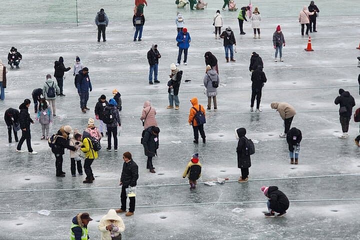 Ice Fishing Festival - Hwacheon Sancheoneo & Pyeongchang Trout 3