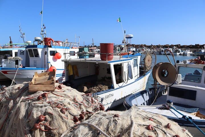 Fishing in Selinunte and lunch with cooking of the catch