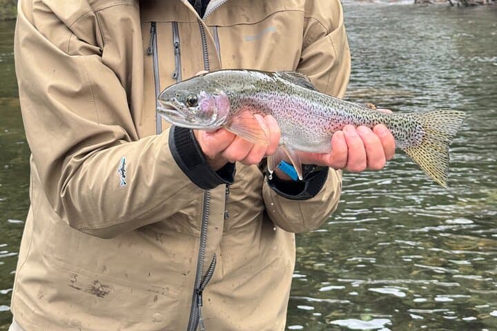 Patagonia Half Day Fish and Feast 2