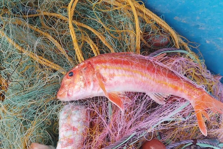 Chania Fishing with Nets Catch and Cook with a Local Fisherman 2