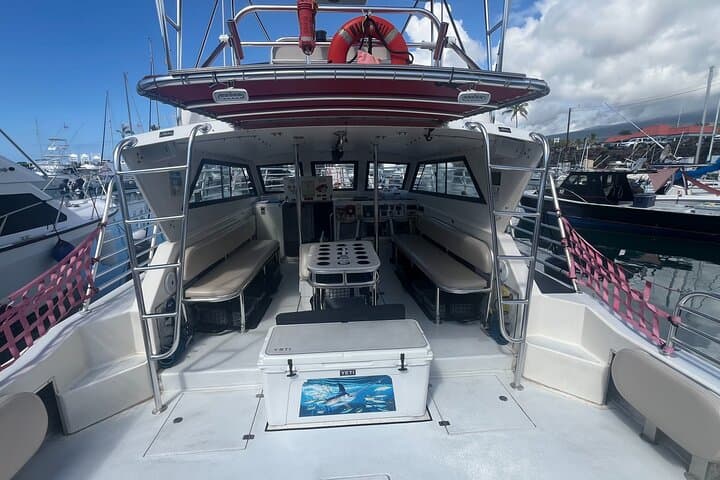 Private & Custom - Family Fish and Snorkel Charter 3