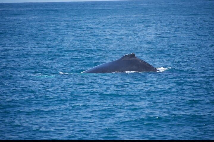  Fishing and Snorkeling Combo 5