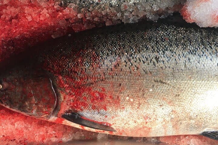 Private Alaska Salmon Fishing—Up to 6 Guests, Priced by Group 3