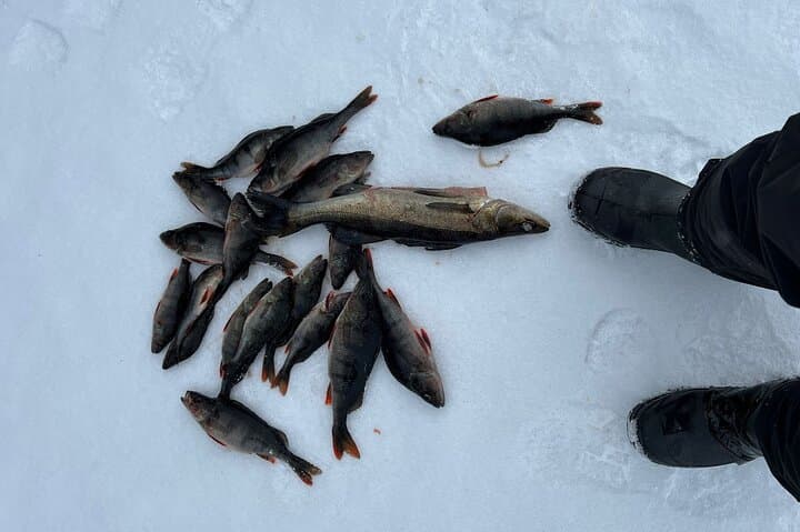 Rovaniemi Ice Fishing Guided Tour Experience 2