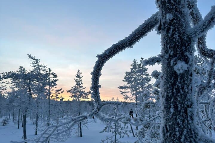 Rovaniemi Ice Fishing Guided Tour Experience 4