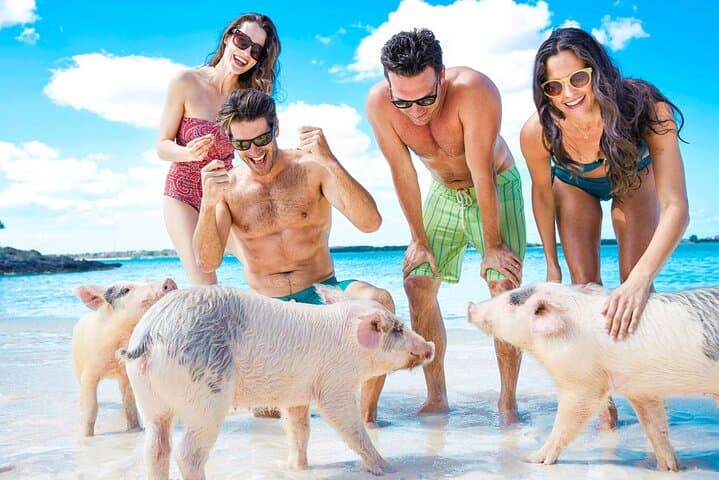 Swimming Pigs, Turtles & Reef Snorkel in Nassau-Champion Tours