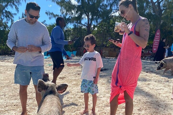 Swimming Pigs, Turtles & Reef Snorkel in Nassau-Champion Tours 4