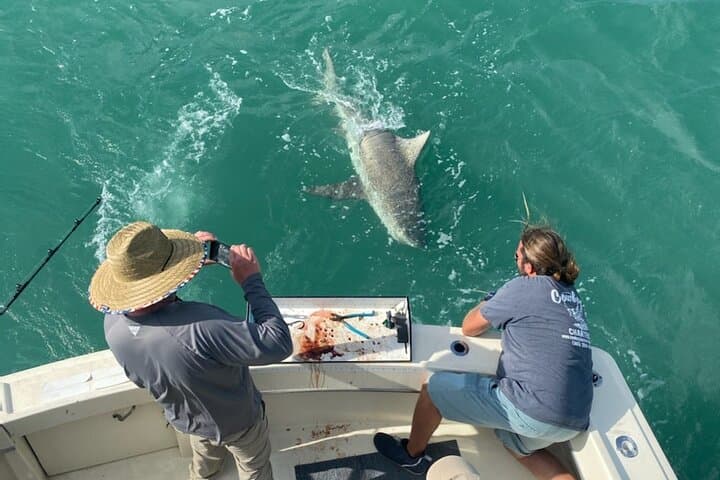 8 Hour Shared Offshore Fishing Adventure in Key West 5