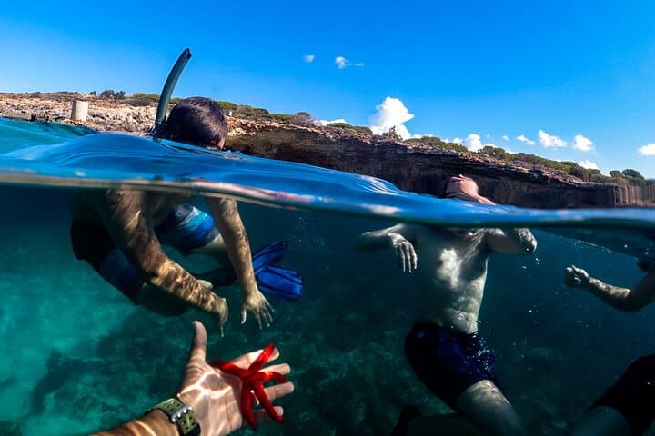 Half Day Private Boat Tour - Malta Blue Lagoon Comino and Gozo 4