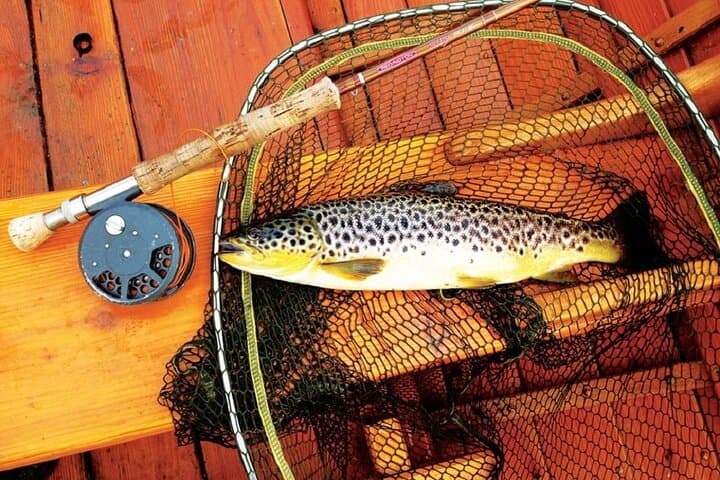 Wild Brown Trout fishing. Lough Corrib. French speaking Ghillie/Guide. Full day. 5