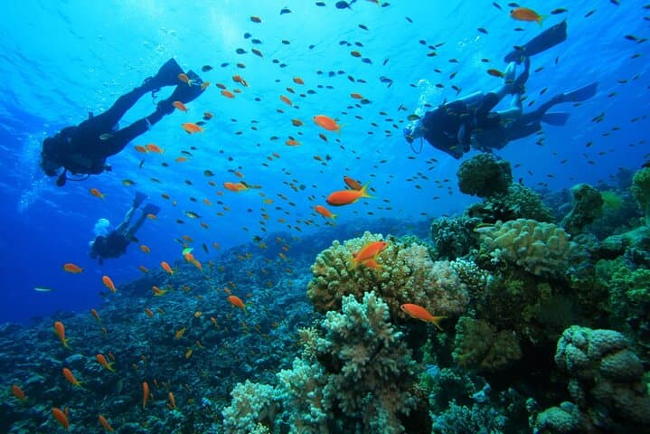 Alanya Scuba Diving and Snorkeling Trip 2