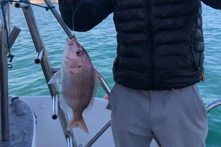 4-Hour Boat Trip with Lunch – Agadir Golden Trip 5