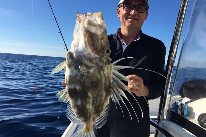 Light tackle Fishing Private Activity from Split or Trogir 3