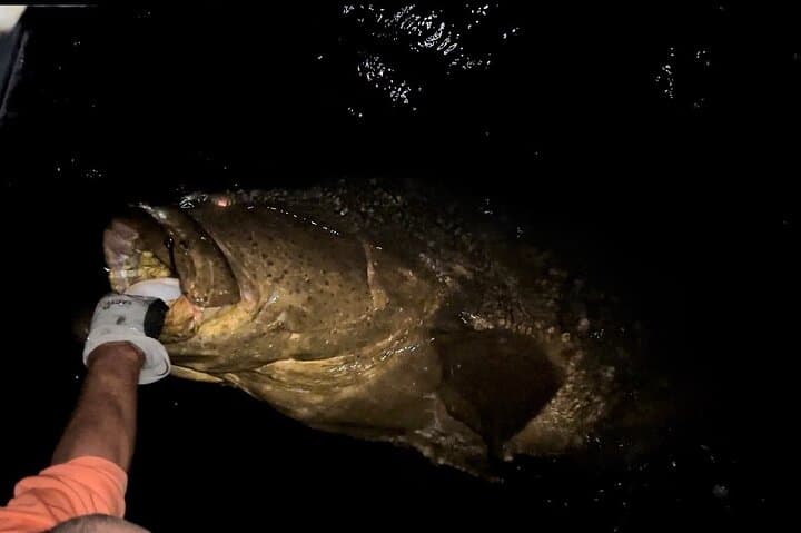 Sport Fishing with "Captain Extreme" from Ultimate Outdoors TV