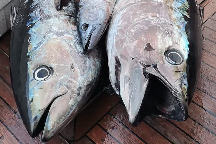 Big Game fishing trip - Private Activity from Split or Trogir 4