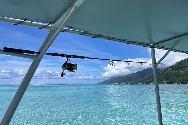 4 Hour Private Fishing Discovery Tour 3