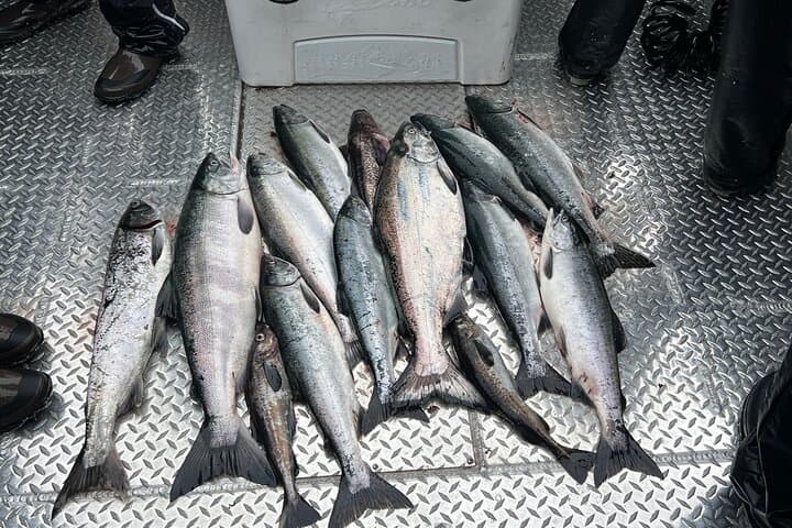 Private Ketchikan Wild Alaskan Salmon Fishing Trip 4