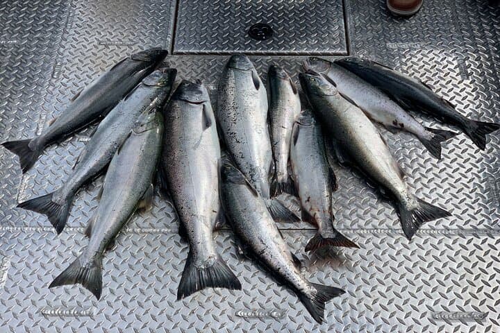 Private Ketchikan Wild Alaskan Salmon Fishing Trip 2