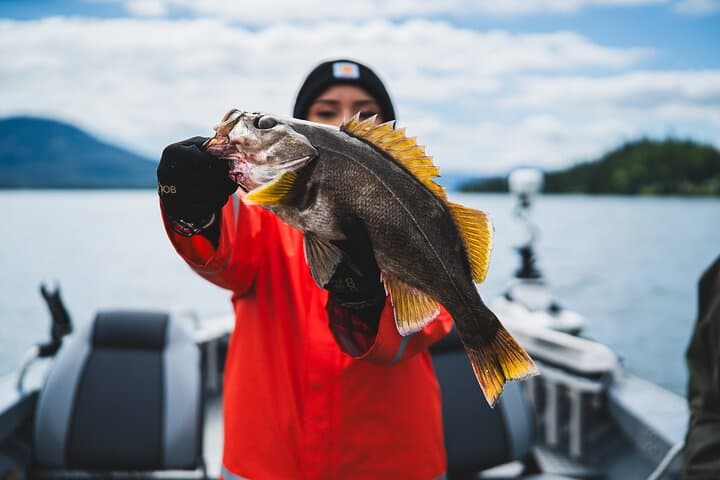 Ketchikan Alaska Fishing and Wilderness Dining 5