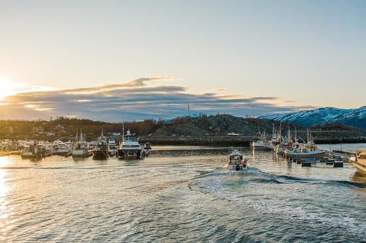 3 Hours Fishing Adventures in Alta Fjord 3