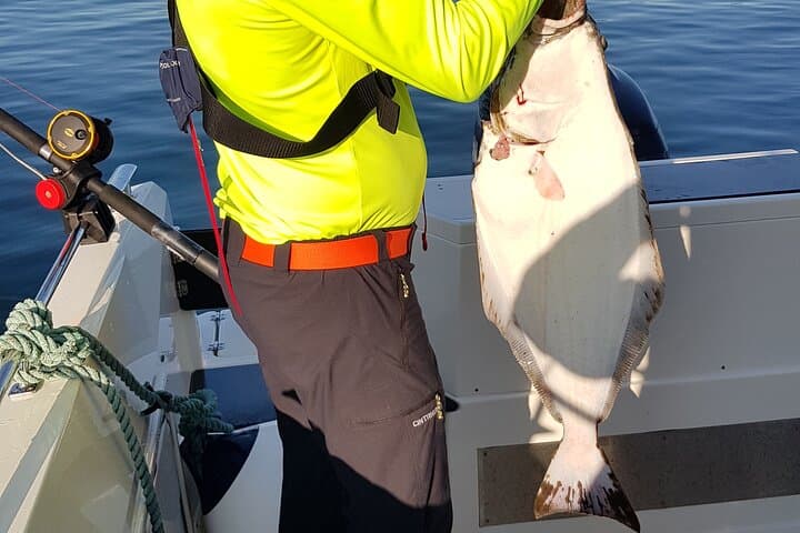 3 Hours Fishing Adventures in Alta Fjord 4