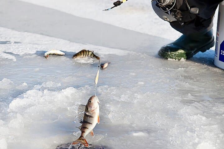 Lakeside Ice Fishing Experience