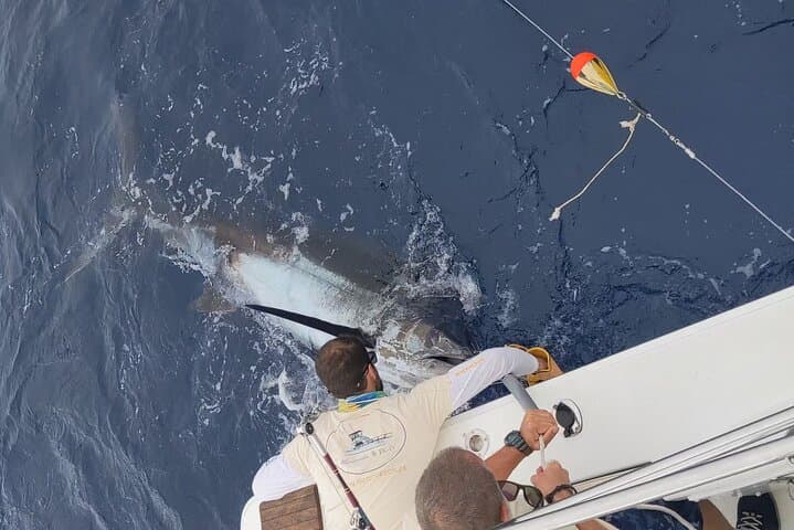 Macaronesia Charter Fishing in La Gomera (Canary Islands) 4
