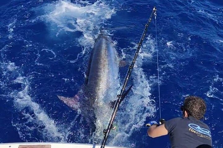 Exciting Fishing Adventures in Lanzarote & La Gomera, Canary Islands 2